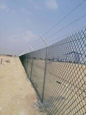 شبوك مزارع الاحساء