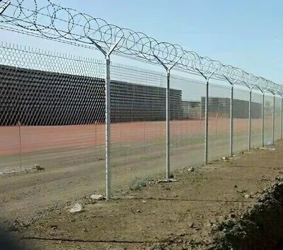 شبوك مزارع الاحساء